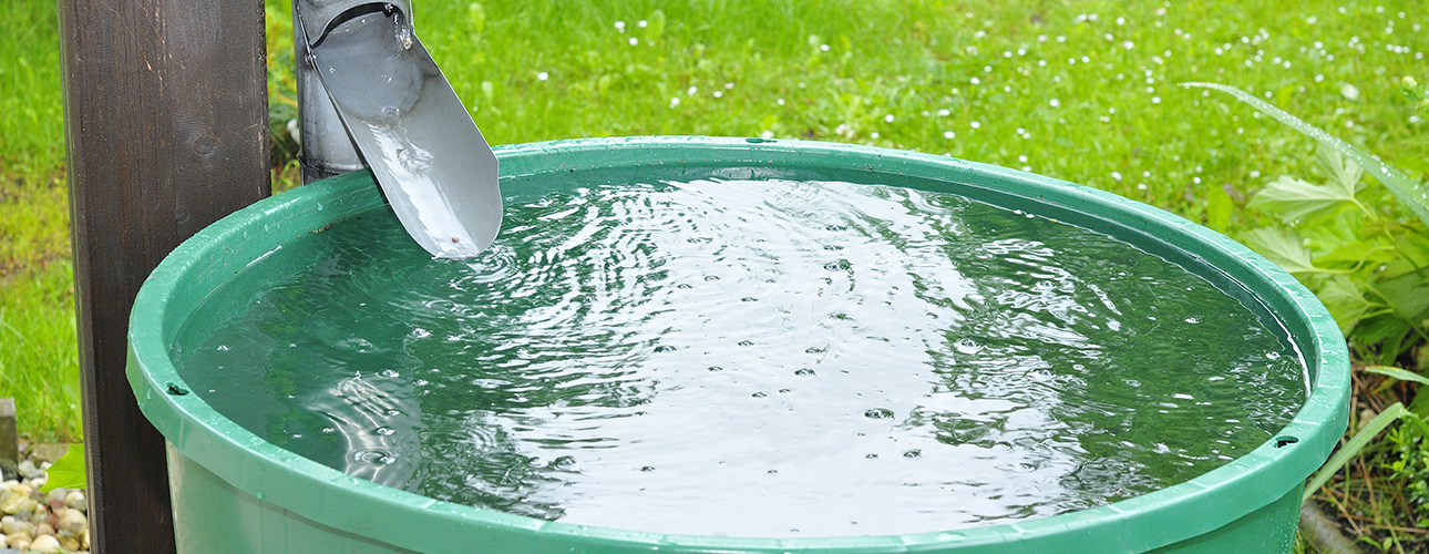 5 Ways to Build an Eco-Friendly Backyard Retreat